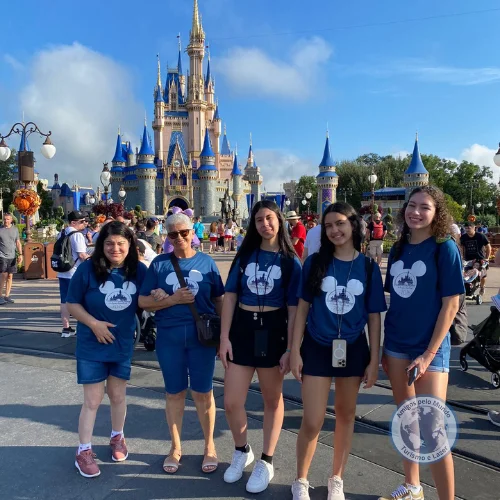 Amigos pelo Mundo Agência de Viagens - Disney